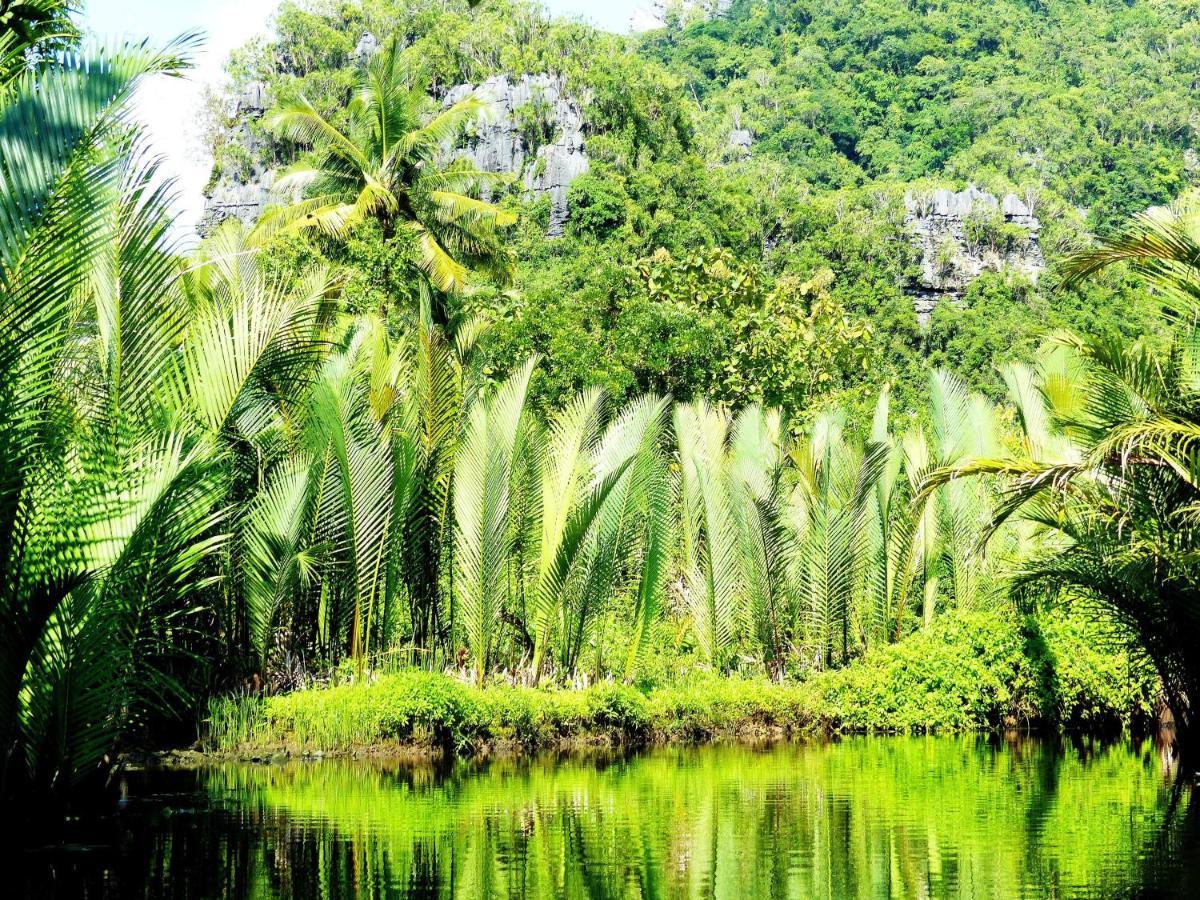 Kasijala Kampoeng Karst Rammang Rammang旅馆 外观 照片