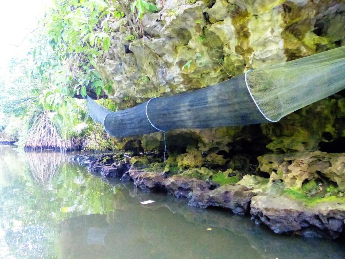 Kasijala Kampoeng Karst Rammang Rammang旅馆 外观 照片