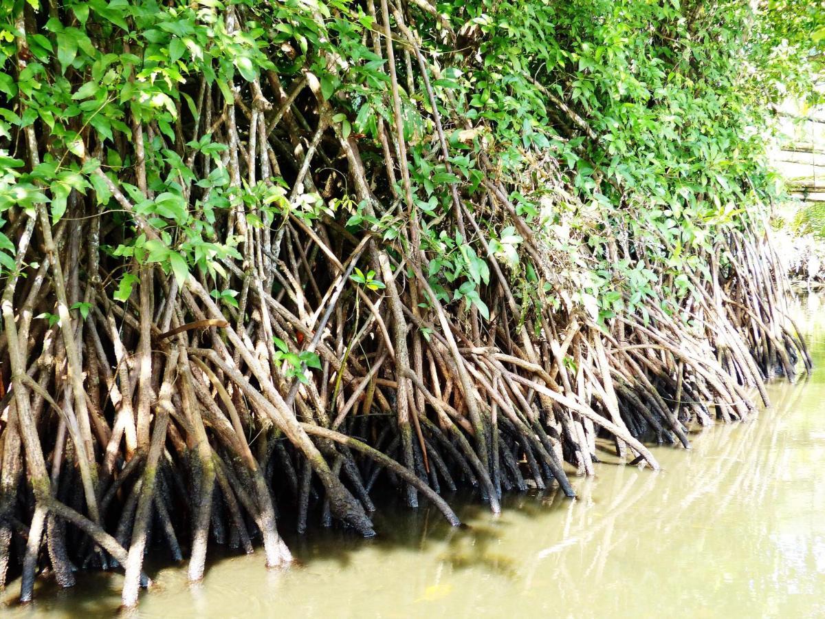 Kasijala Kampoeng Karst Rammang Rammang旅馆 外观 照片