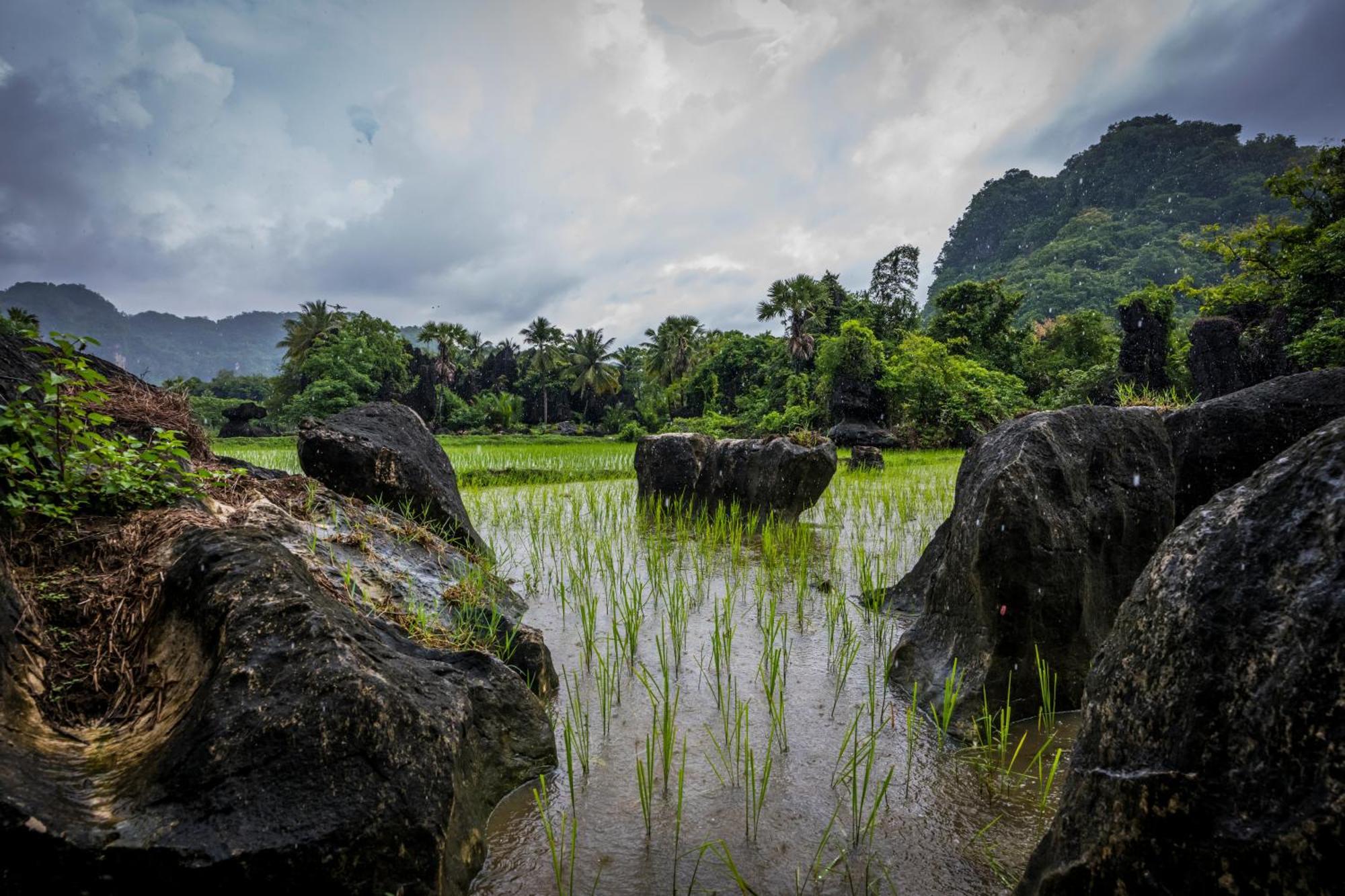 Kasijala Kampoeng Karst Rammang Rammang旅馆 外观 照片
