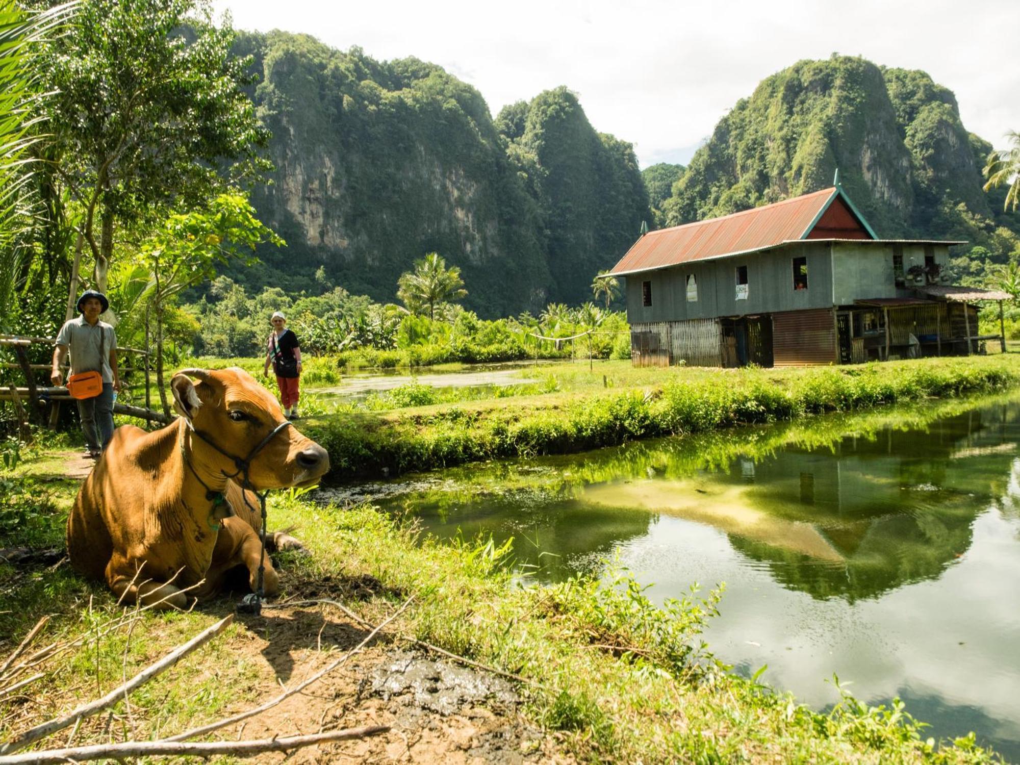 Kasijala Kampoeng Karst Rammang Rammang旅馆 外观 照片